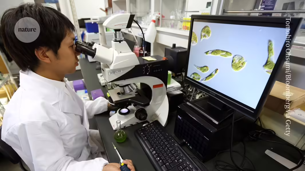 Japans Wissenschaftler fordern mehr Geld für Grundlagenforschung - Petition von Hunderttausenden Forschern Gibt Dringend Erhöhung der Mittel Zur Steigerung der Wettbewerbsfähigkeit an